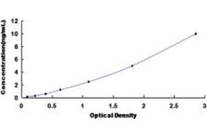 Typical standard curve (Glutamate Receptor 1 ELISA Kit)