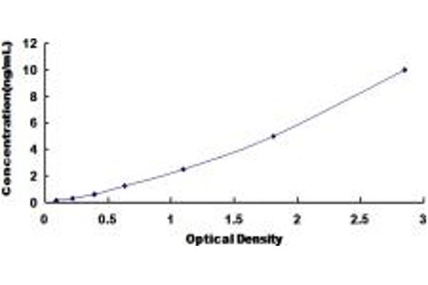 Glutamate Receptor 1 ELISA Kit