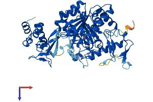 AlphaFold protein structure predicition of Human Recombinant UAP1L1 Protein, UniprotID Q3KQV9 (UAP1L1 Protein (AA 1-507) (His tag))