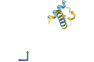 AlphaFold protein structure predicition of Human Recombinant LUZP6 Protein, UniprotID Q538Z0 (LUZP6 Protein (AA 1-58) (Fc Tag))