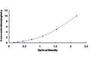 ELISA image for Signal-Regulatory Protein alpha (SIRPA) ELISA Kit (ABIN417551)