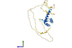 AlphaFold protein structure predicition of Human Recombinant DLX4 Protein, UniprotID Q92988