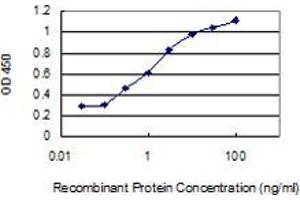 Detection limit for recombinant GST tagged DBNDD1 is 0. (DBNDD1 antibody  (AA 1-156))