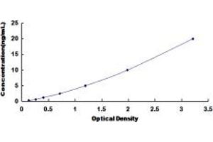 Typical standard curve (CACNA1S ELISA Kit)