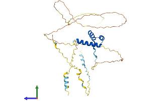 AlphaFold protein structure predicition of Mouse Recombinant Gbx2 Protein, UniprotID P48031