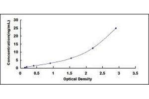 Inter alpha Globulin Inhibitor H4 (ITIH4) ELISA Kit