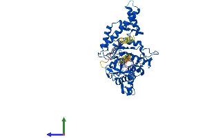 Protein Structure (PS) image for Hyaluronidase-4 (HYAL4) (AA 1-481) protein (His tag) (ABIN7548489)