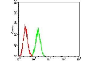Flow cytometric analysis of SK-OV-3 cells using CDX2 mouse mAb (green) and negative control (red). (CDX2 antibody  (AA 1-180))