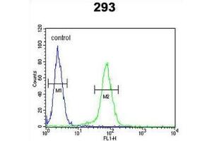Flow Cytometry (FACS) image for anti-Claudin 8 (CLDN8) antibody (ABIN3004091) (CLDN8 antibody)
