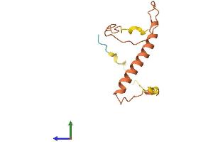 AlphaFold protein structure predicition of Human Recombinant MYCNOS Protein, UniprotID P40205 (MYCNOS Protein (AA 1-109) (His tag))