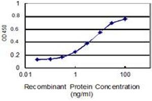 Detection limit for recombinant GST tagged FSIP1 is 0. (FSIP1 antibody  (AA 1-581))