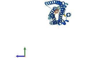 Protein Structure (PS) image for G Protein-Coupled Receptor 35 (GPR35) (AA 1-309) protein (His tag) (ABIN7548041)