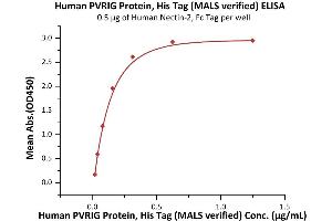 Immobilized Human Nectin-2, Fc Tag (ABIN4949134,ABIN4949135) at 5 μg/mL (100 μL/well) can bind Human PVRIG Protein, His Tag (ABIN6973207) with a linear range of 0. (PVRIG Protein (AA 41-171) (His tag))