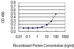 Detection limit for recombinant GST tagged ADAMTS3 is 3 ng/ml as a capture antibody. (ADAMTS3 antibody  (AA 1048-1128))