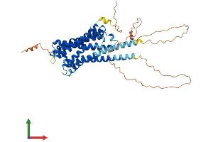 AlphaFold protein structure predicition of Human Recombinant CHRM1 Protein, UniprotID P11229