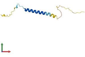 Protein Structure (PS) image for FXYD Domain Containing Ion Transport Regulator 7 (FXYD7) (AA 1-80) protein (Fc Tag) (ABIN7547858)