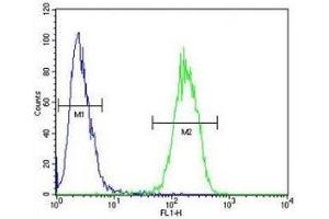 IL17F antibody flow cytometric analysis of 293 cells (right histogram) compared to a negative control (left histogram). (IL17F antibody  (AA 16-45))