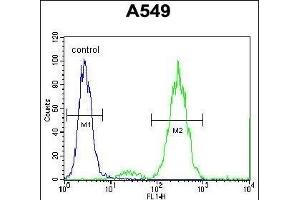EDN1 Antibody (Center)  flow cytometric analysis of A549 cells (right histogram) compared to a negative control cell (left histogram). (Endothelin 1 antibody  (Center))