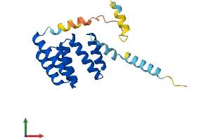 Protein Structure (PS) image for Tetratricopeptide Repeat Domain 36 (TTC36) (AA 1-189) protein (His tag) (ABIN7544907)