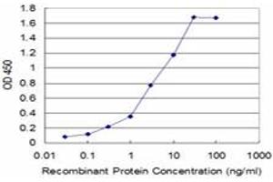 Detection limit for recombinant GST tagged USP9X is approximately 0. (USP9X antibody  (AA 1-90))