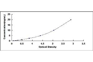 Typical standard curve (WASF2 ELISA Kit)