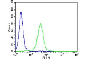 Flow cytometric analysis of SH-SY5Y cells using NC Antibody (C-term)(green, Cat(ABIN6242237 and ABIN6577689)) compared to an isotype control of rabbit IgG(blue). (CD56 antibody  (C-Term))