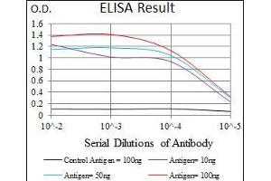 Black line: Control Antigen (100 ng), Purple line: Antigen(10 ng), Blue line: Antigen (50 ng), Red line: Antigen (100 ng), (Somatostatin antibody  (AA 1-116))
