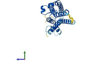 Protein Structure (PS) image for Dolichyl Pyrophosphate Phosphatase 1 (DOLPP1) (AA 1-238) protein (His tag) (ABIN7547227)