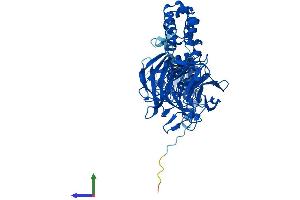 AlphaFold protein structure predicition of Mouse Recombinant Klhl12 Protein, UniprotID Q8BZM0 (KLHL12 Protein (AA 1-568) (His tag))