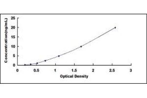 Typical standard curve (ADH3 ELISA Kit)