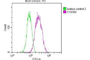 Overlay histogram showing A549 cells stained with ABIN7127330 (red line) at 1:50. (Recombinant AKR1C3 antibody)