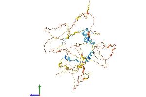 Protein Structure (PS) image for Protein Aurora Borealis (BORA) (AA 1-525) protein (His tag) (ABIN7558849)