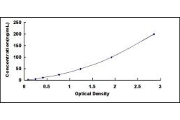 IgG3 ELISA Kit