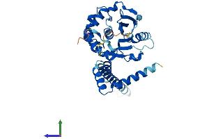 Protein Structure (PS) image for Ubiquitin Carboxyl-terminal Hydrolase L5 (UCHL5) (AA 1-329) protein (His tag) (ABIN7545005)