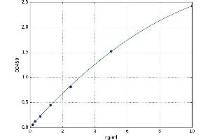Cyclin-Dependent Kinase Inhibitor 1B (p27, Kip1) (CDKN1B) ELISA Kit