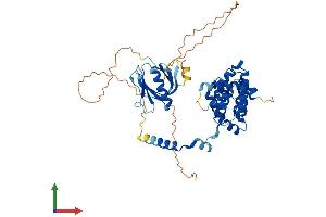 AlphaFold protein structure predicition of Human Recombinant ARHGAP15 Protein, UniprotID Q53QZ3