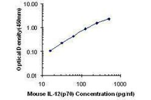 ELISA image for anti-Interleukin 12 (IL12) antibody (ABIN2665104) (IL12 antibody)