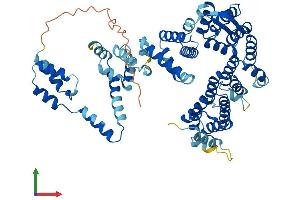 AlphaFold protein structure predicition of Mouse Recombinant Nelfcd Protein, UniprotID Q922L6 (TH1-Like Protein (TH1L) (AA 1-591) (His tag))
