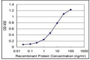 ELISA image for anti-NIMA (Never in Mitosis Gene A)-Related Kinase 2 (NEK2) (AA 331-445) antibody (ABIN781938) (NEK2 antibody  (AA 331-445))
