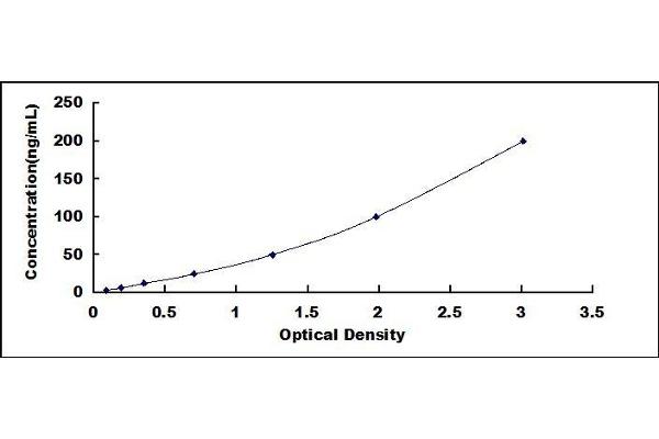 RNLS ELISA Kit