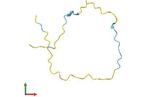 Protein Structure (PS) image for Chromosome 5 Open Reading Frame 13 (C5orf13) (AA 1-68) protein (Fc Tag) (ABIN7549819)