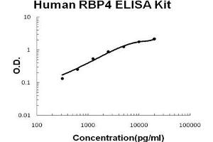 Human RBP4 PicoKine ELISA Kit standard curve (RBP4 ELISA Kit)