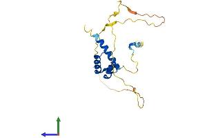 AlphaFold protein structure predicition of Mouse Recombinant Hoxc5 Protein, UniprotID P32043