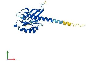 AlphaFold protein structure predicition of Human Recombinant RAB35 Protein, UniprotID Q15286