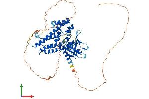 AlphaFold protein structure predicition of Human Recombinant ARHGEF3 Protein, UniprotID Q9NR81
