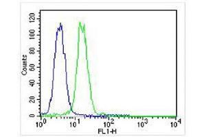 Overlay histogram showing K562 cells stained with (ABIN6242610 and ABIN6577131) (green line). (VCP antibody)