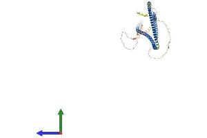 AlphaFold protein structure predicition of Human Recombinant GOLGA6L10 Protein, UniprotID A6NI86 (GOLGA6L10 Protein (AA 1-522) (His tag))