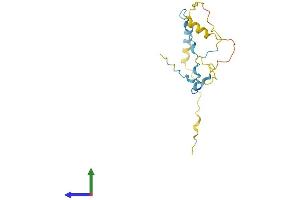 AlphaFold protein structure predicition of Human Recombinant PPP1R17 Protein, UniprotID O96001