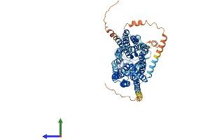 AlphaFold protein structure predicition of Human Recombinant SLCO1B1 Protein, UniprotID Q9Y6L6