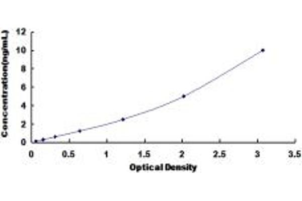 BCAR1 ELISA Kit